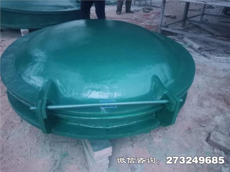 輕質(zhì)玻璃鋼拍門