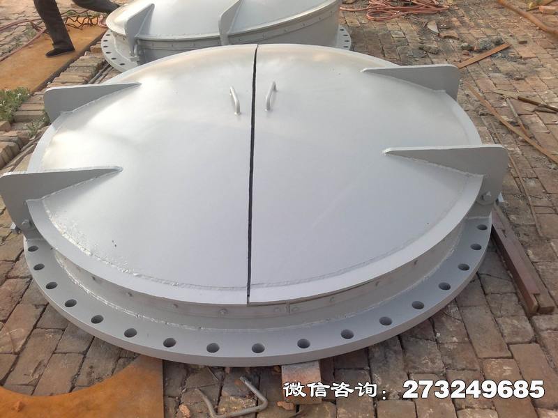 復(fù)合材料拍門